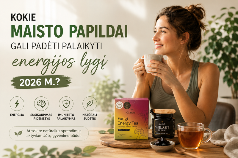 Kokie maisto papildai gali padėti palaikyti energijos lygį 2026 m.?