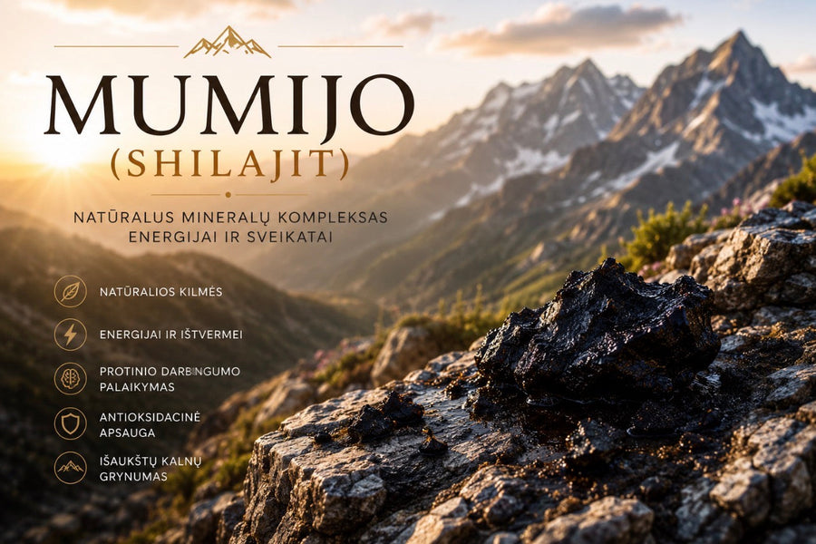 Mumijo (Shilajit): Natūralus Energijos ir Sveikatos Šaltinis