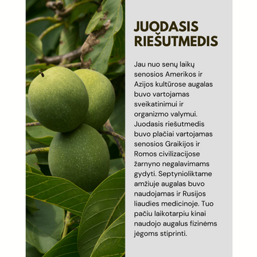 JUODASIS RIEŠUTMEDIS (Maisto papildas) - grasole.com