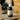 -10% HARMONY VINEGAR.