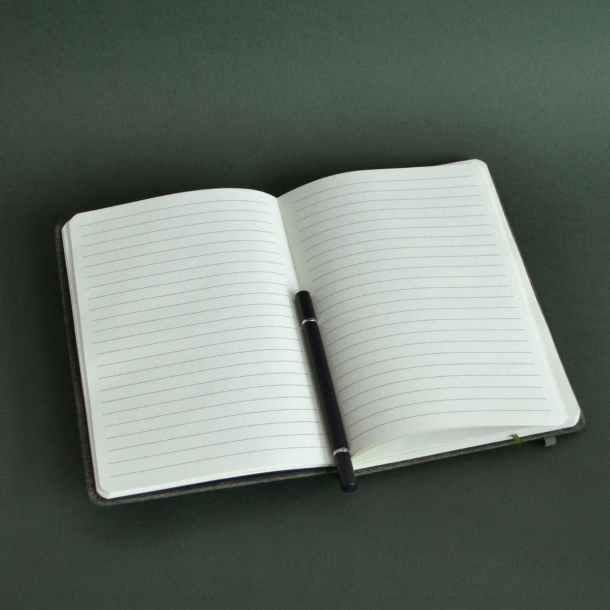 SOLEMIRA's Diary